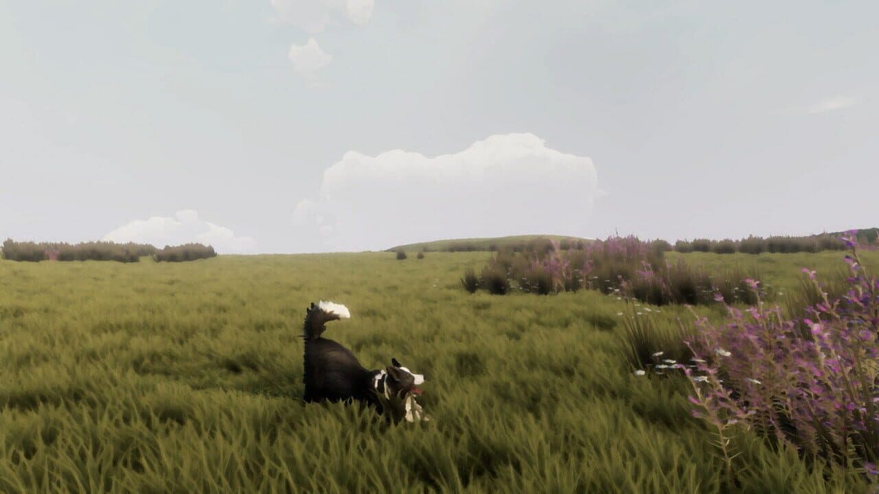The Free Shepherd thumbnail 2