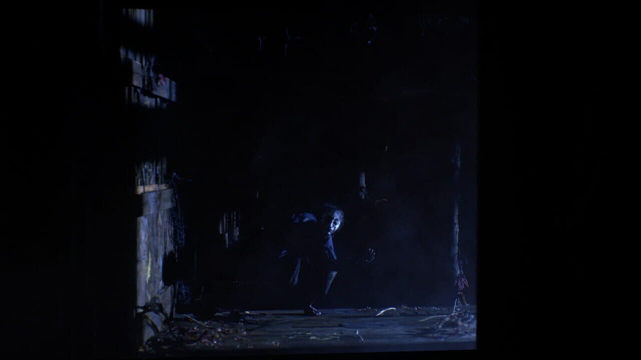 The Twilight Project thumbnail 3
