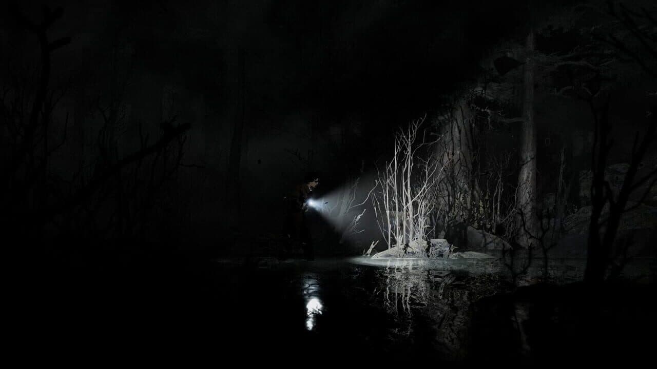 Silver Pines thumbnail 5
