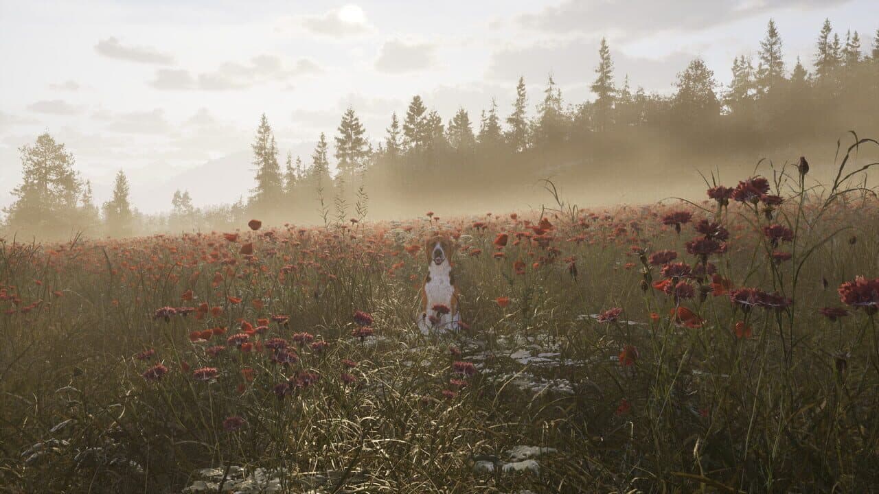 Way of the Hunter 2 thumbnail 3