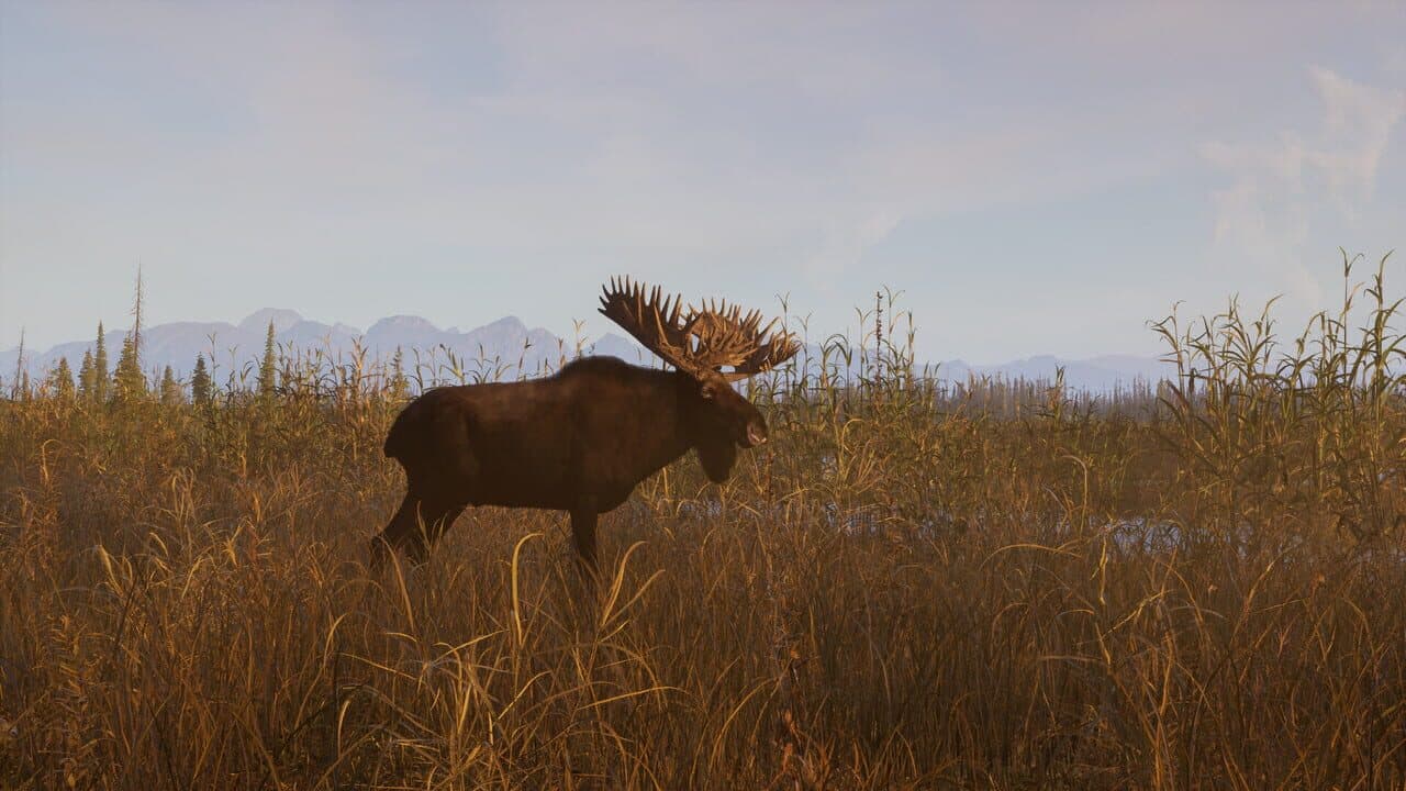 Way of the Hunter 2 thumbnail 4