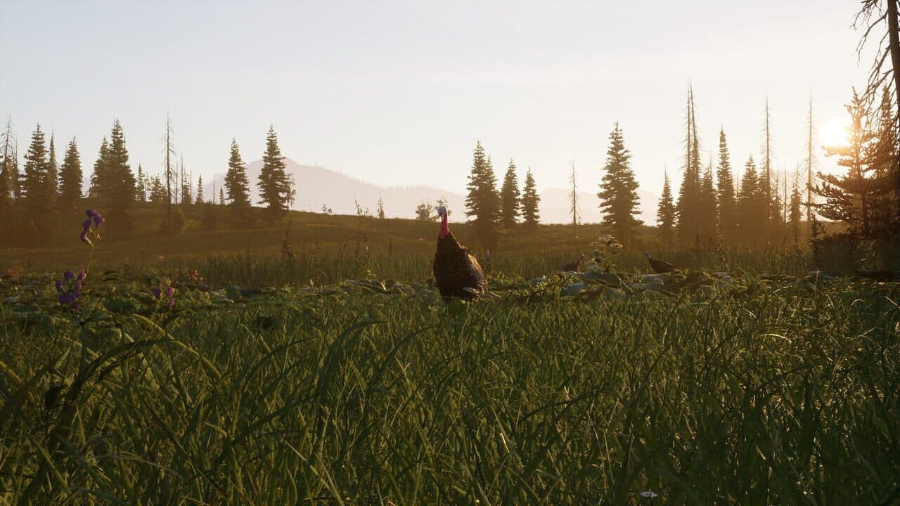 Way of the Hunter 2 thumbnail 2