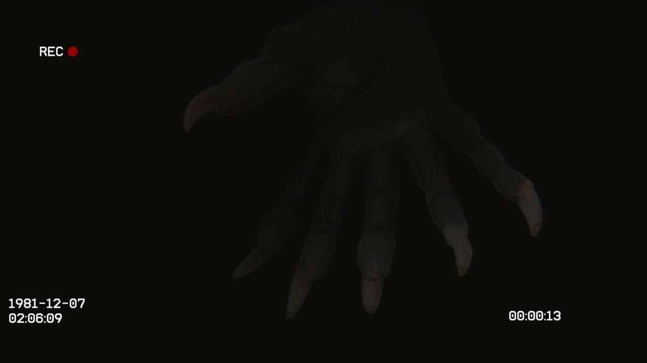 Void81 thumbnail 13