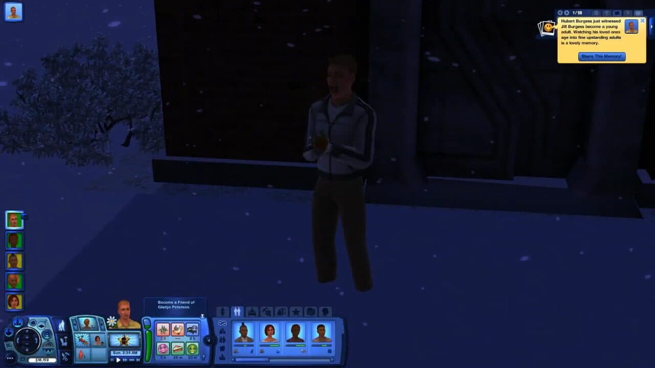 The Sims 3: Starter Pack thumbnail 2