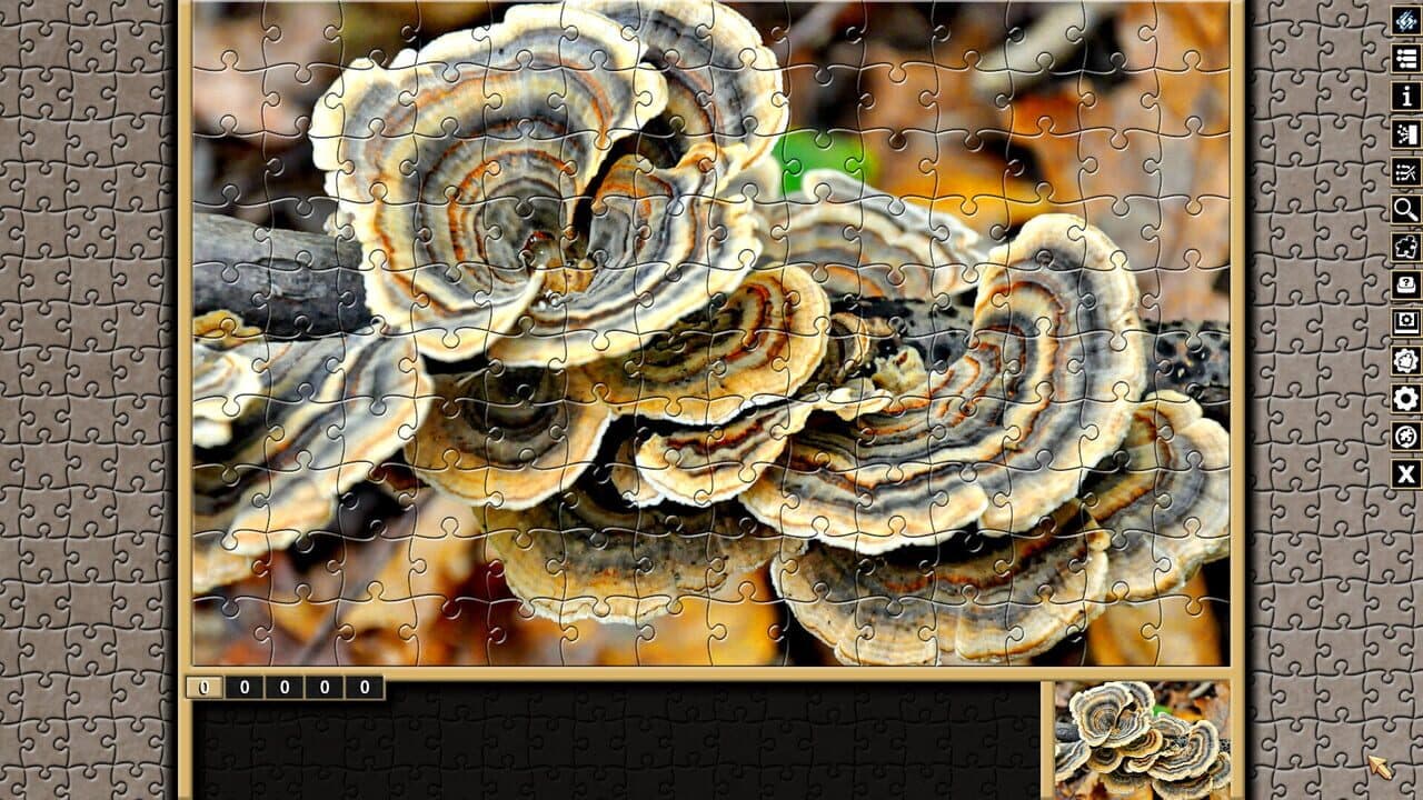 Pixel Puzzles Traditional Jigsaws: Forests thumbnail 3