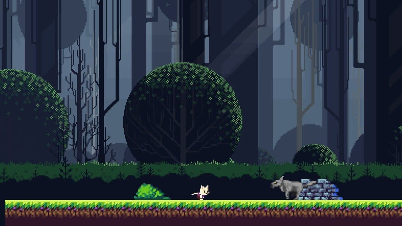 Catrun thumbnail 2