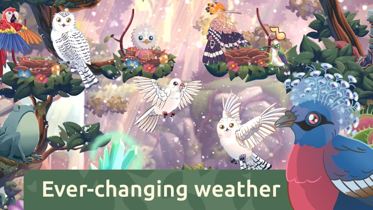 Bird Kind thumbnail 4