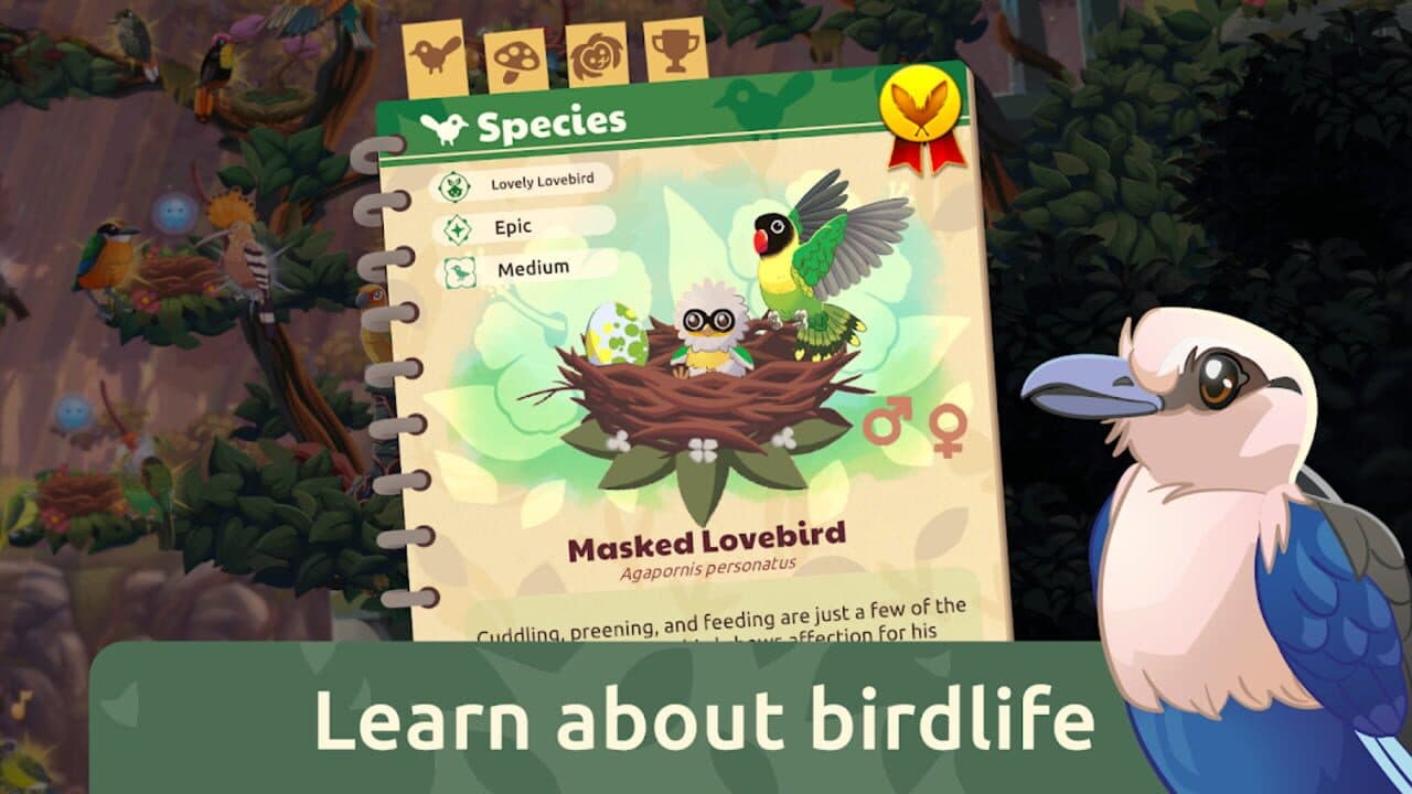 Bird Kind thumbnail 6