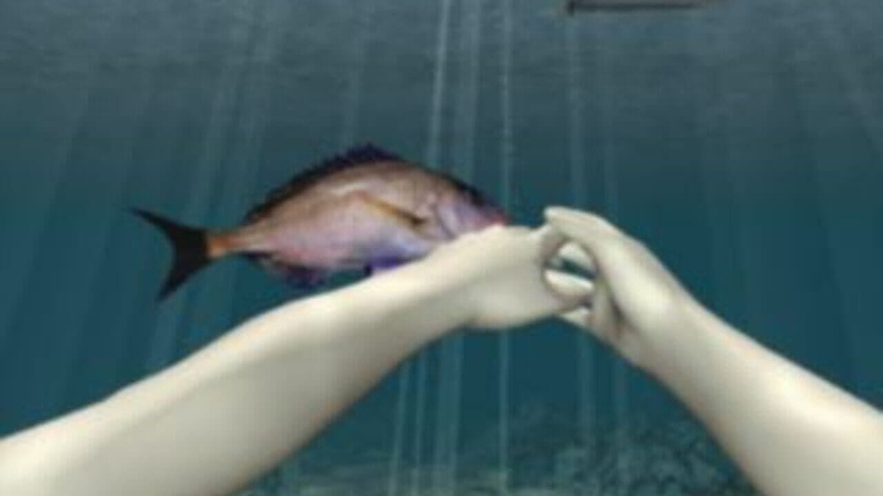 Uki Uki Tsuri Tengoku: Ningyo Densetsu no Nazo thumbnail 3