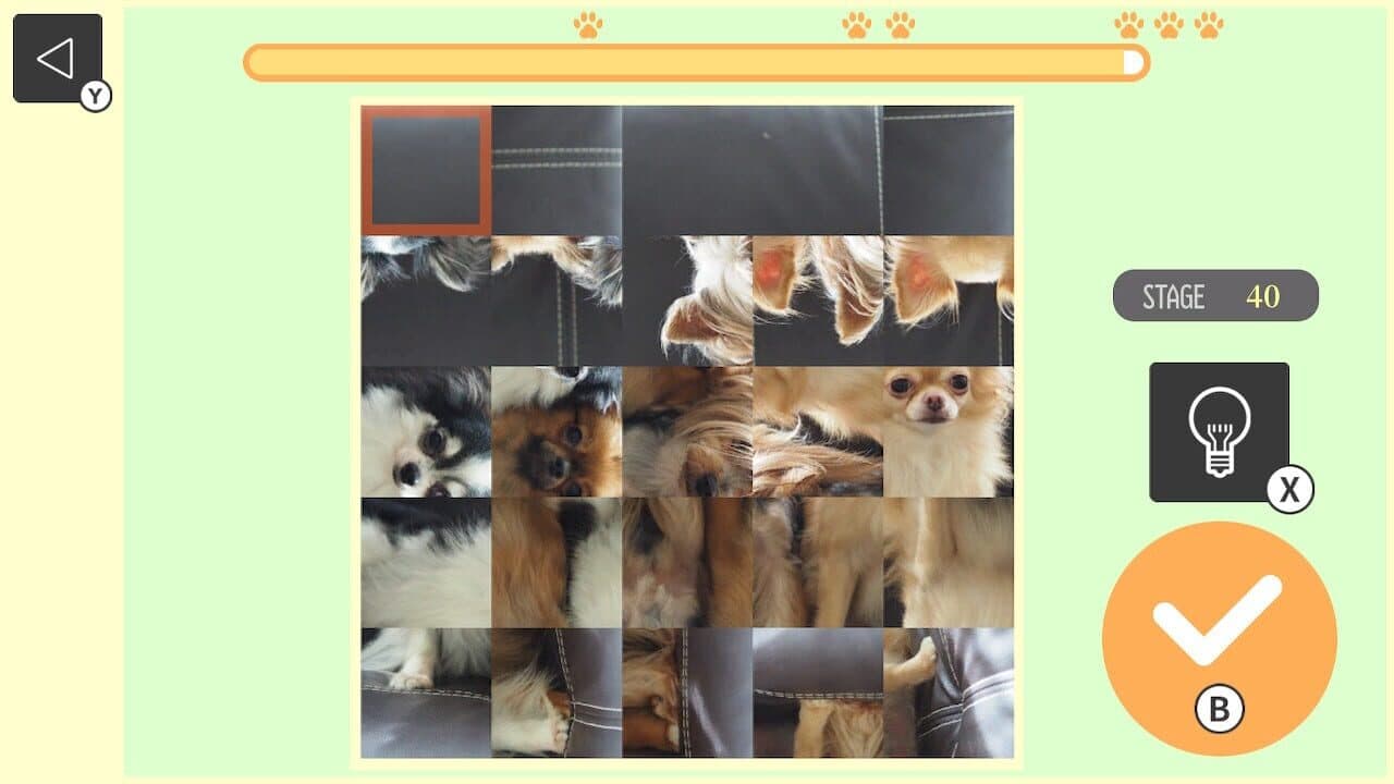 Brain Workout! Spinning Dog Puzzle thumbnail 3