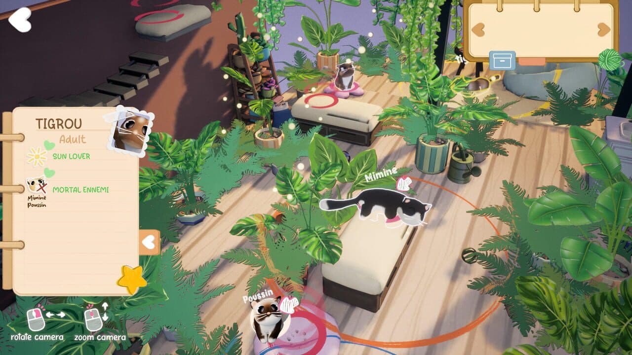 Kitty Haven thumbnail 3