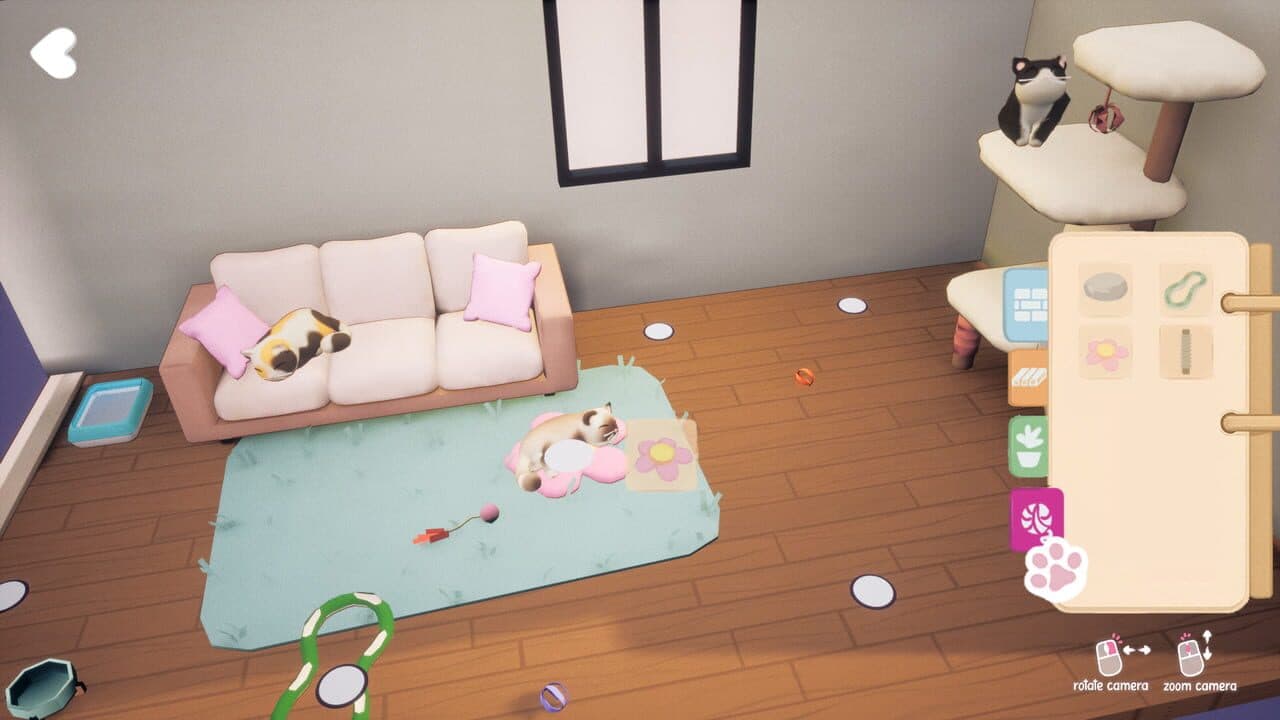 Kitty Haven thumbnail 4