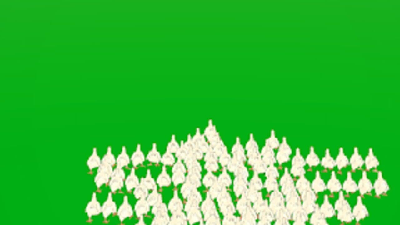 Flock Frenzy screenshot 1