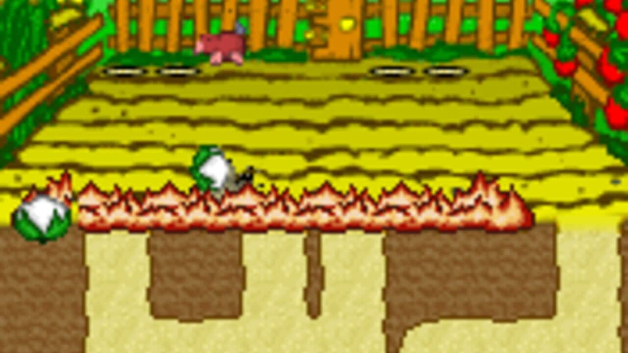 King of the Cabbage World thumbnail 2