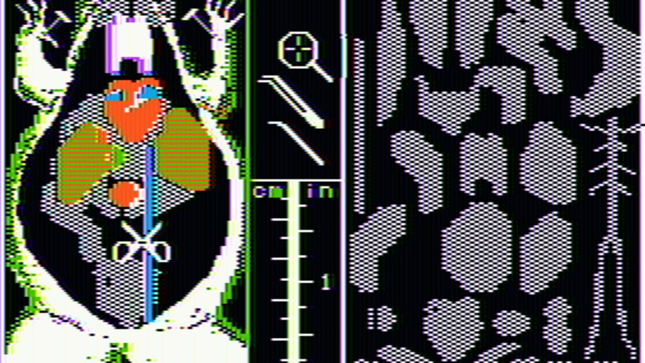 Operation Frog thumbnail 2