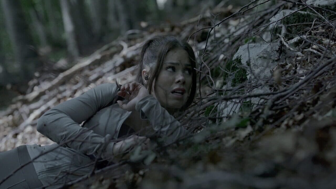The Run thumbnail 3
