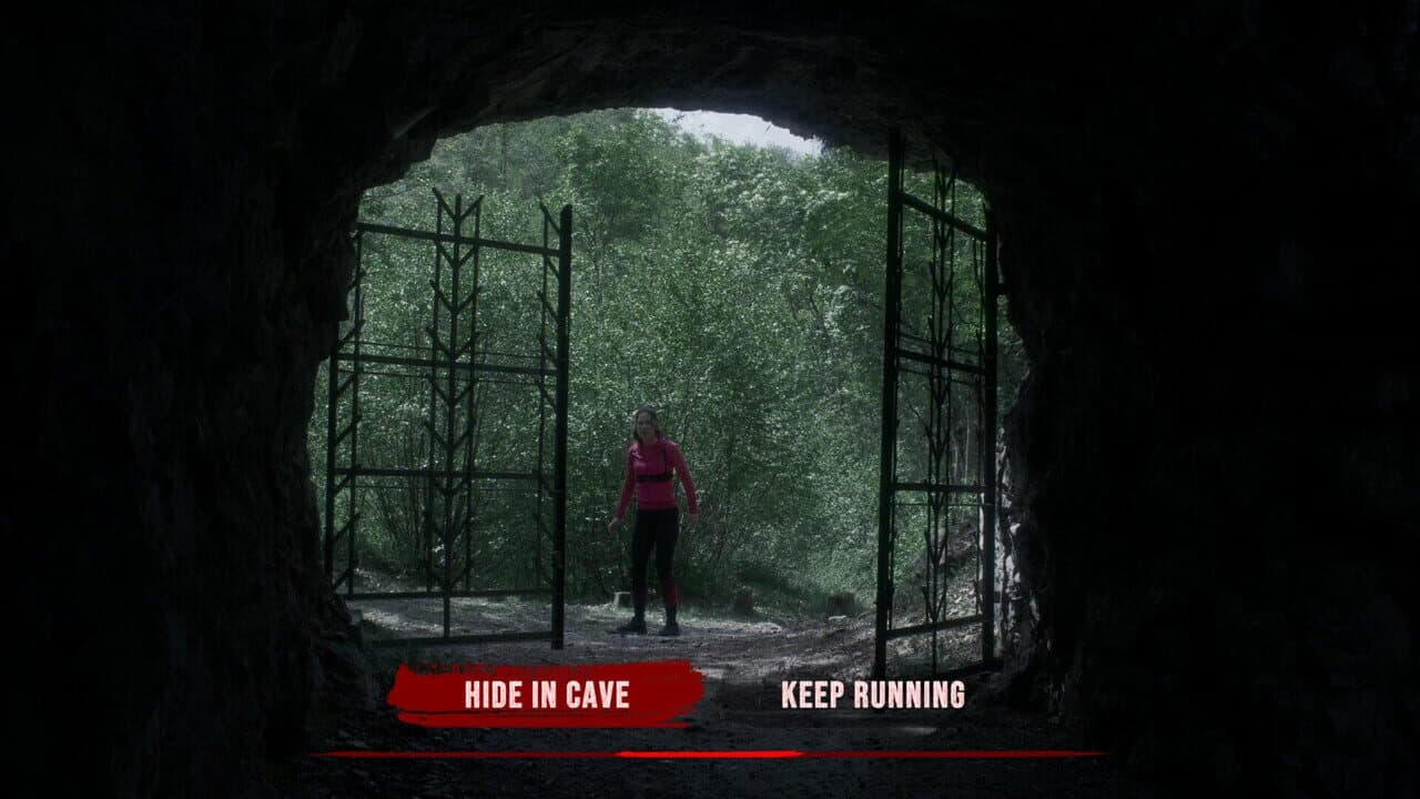 The Run thumbnail 2
