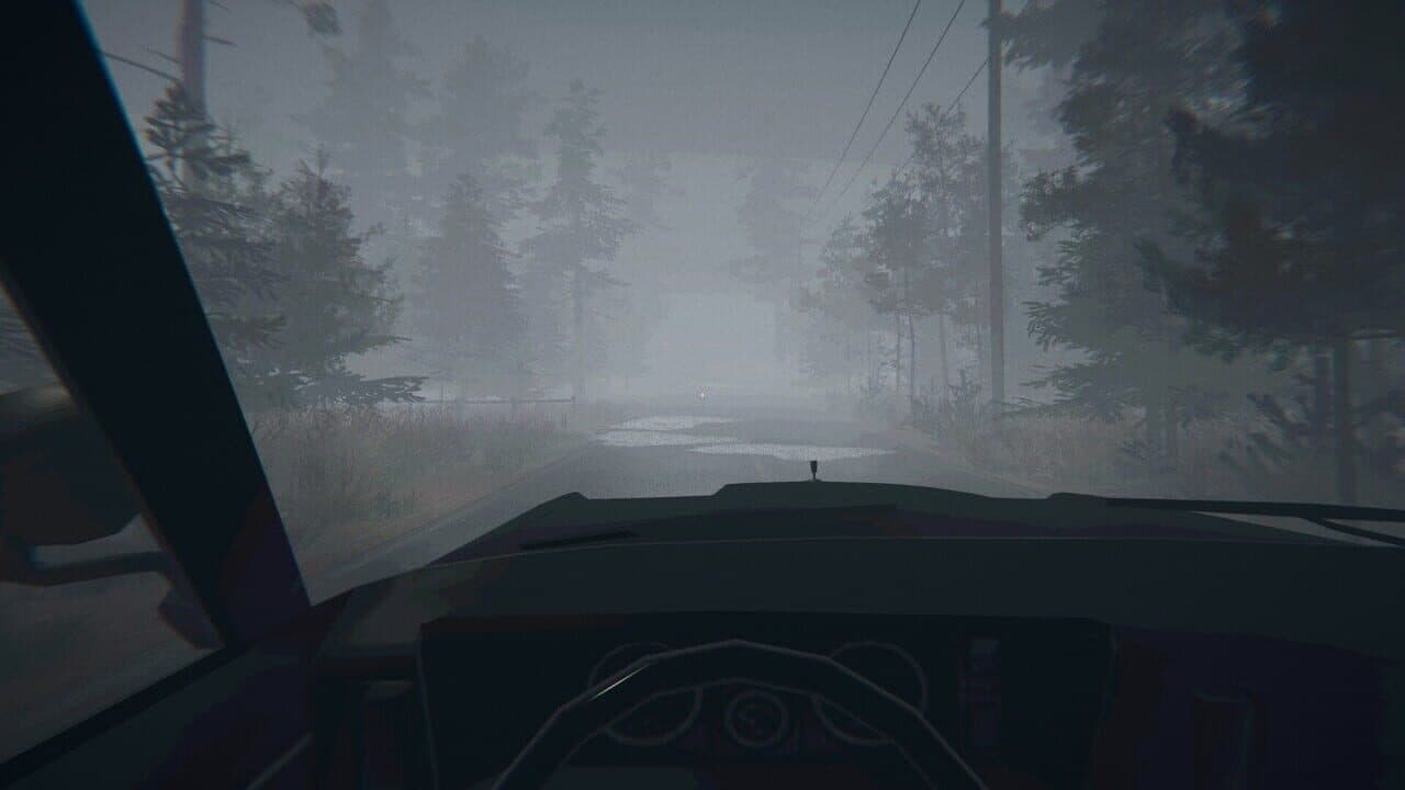 Midnight Files: Missing in Forest Lake screenshot 1