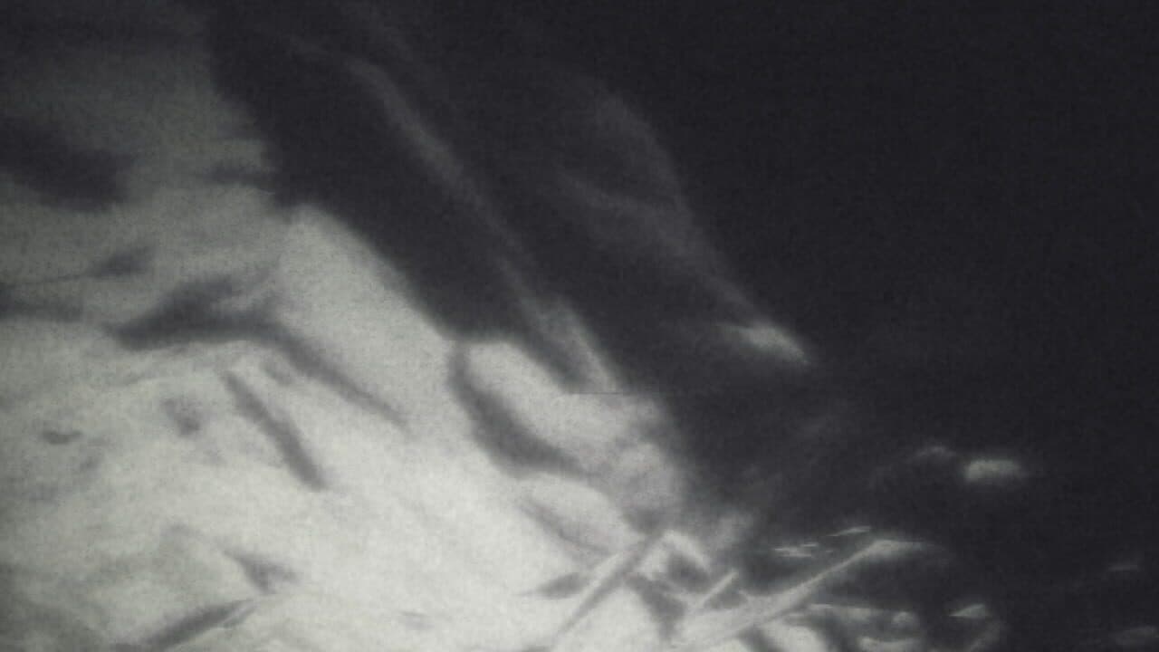 Ocean::Ephemera screenshot 1
