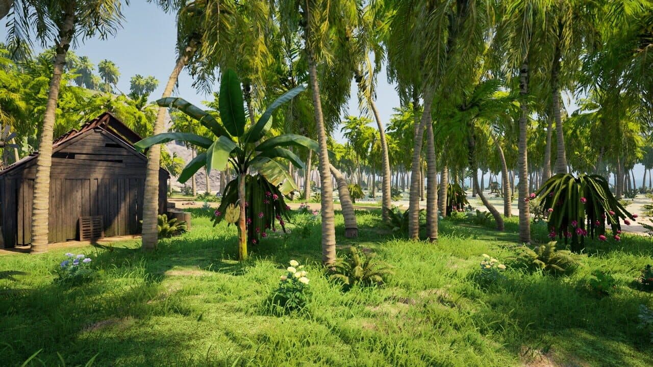 Dig Island thumbnail 8