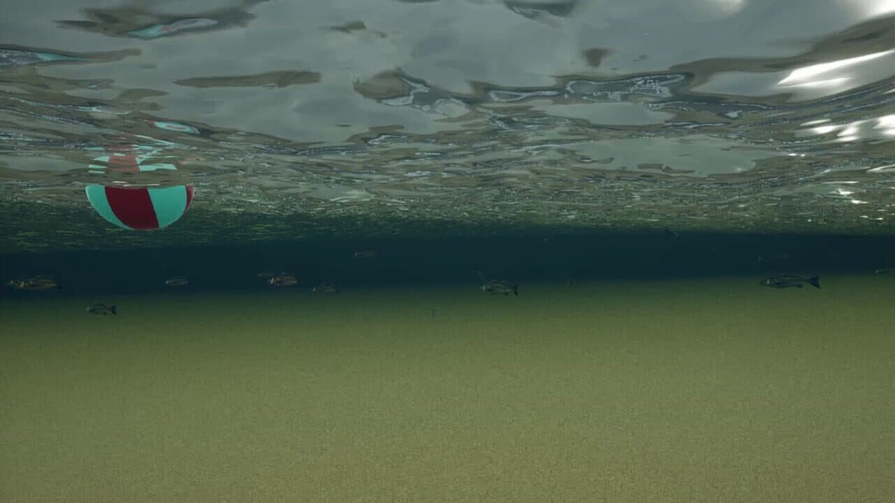 King Crab thumbnail 8