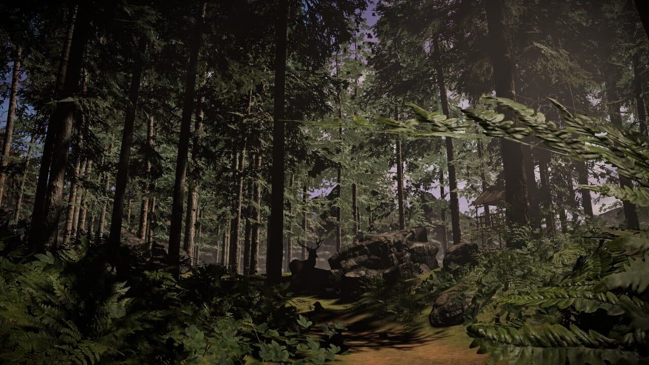House of Nowhere thumbnail 9