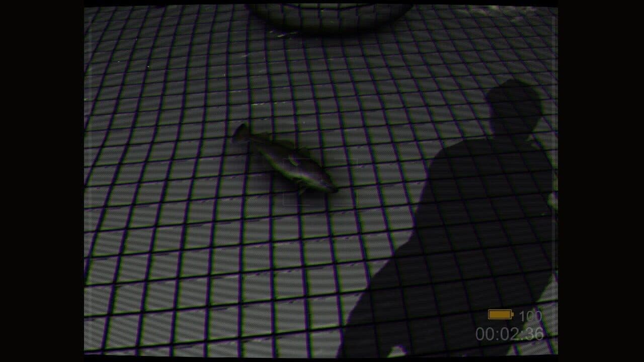 Backrooms: Poolrooms thumbnail 6