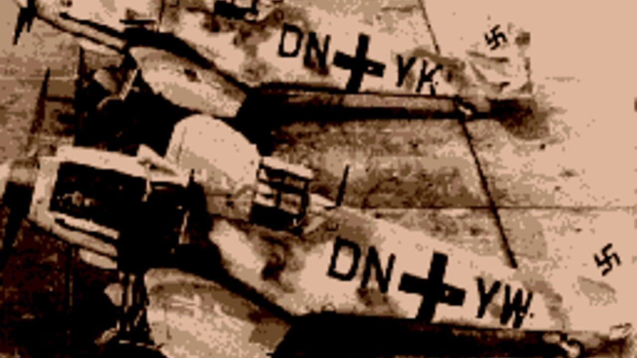 US AAF Mustang thumbnail 2