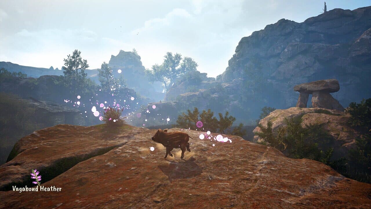 Adorable Adventures thumbnail 8