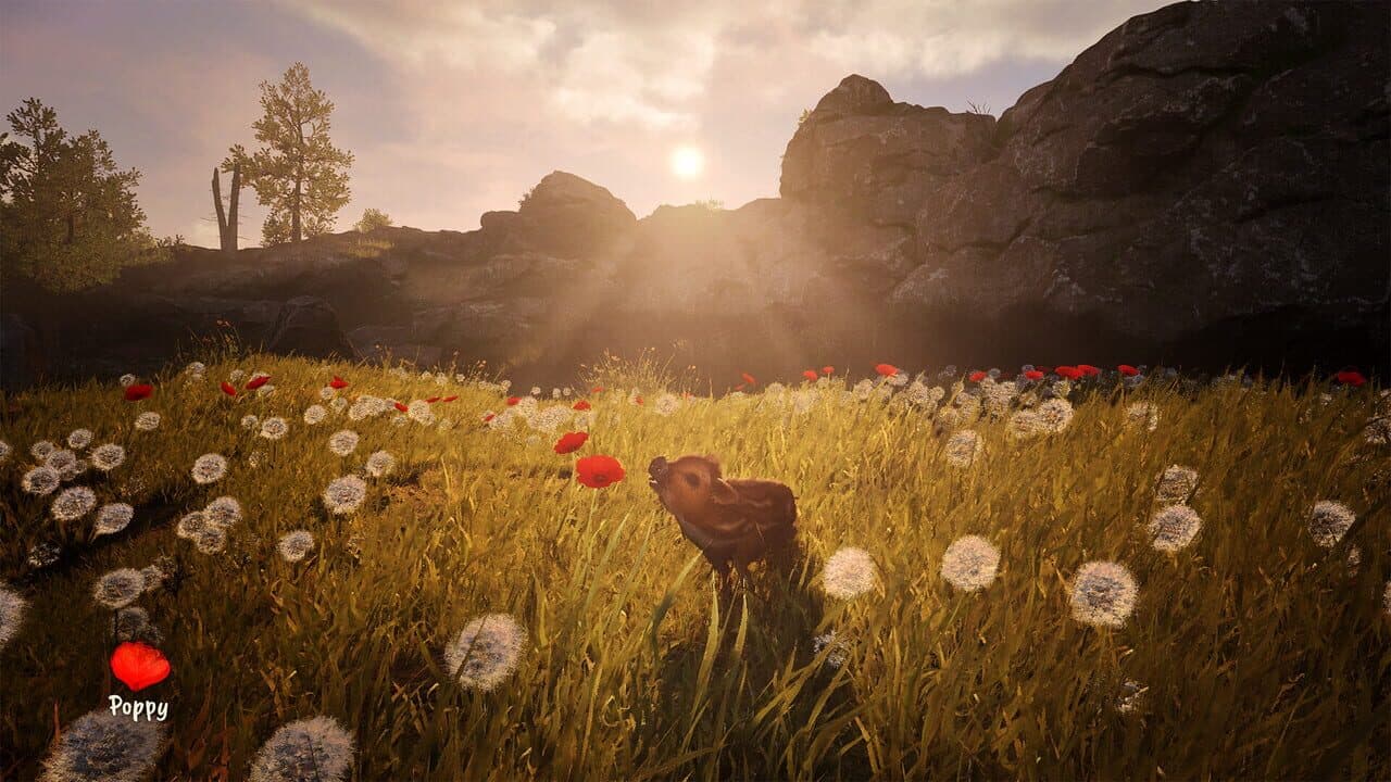 Adorable Adventures thumbnail 2