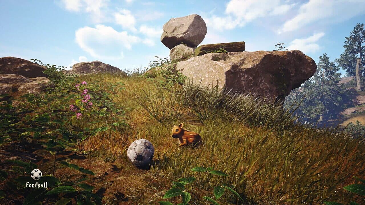 Adorable Adventures thumbnail 3