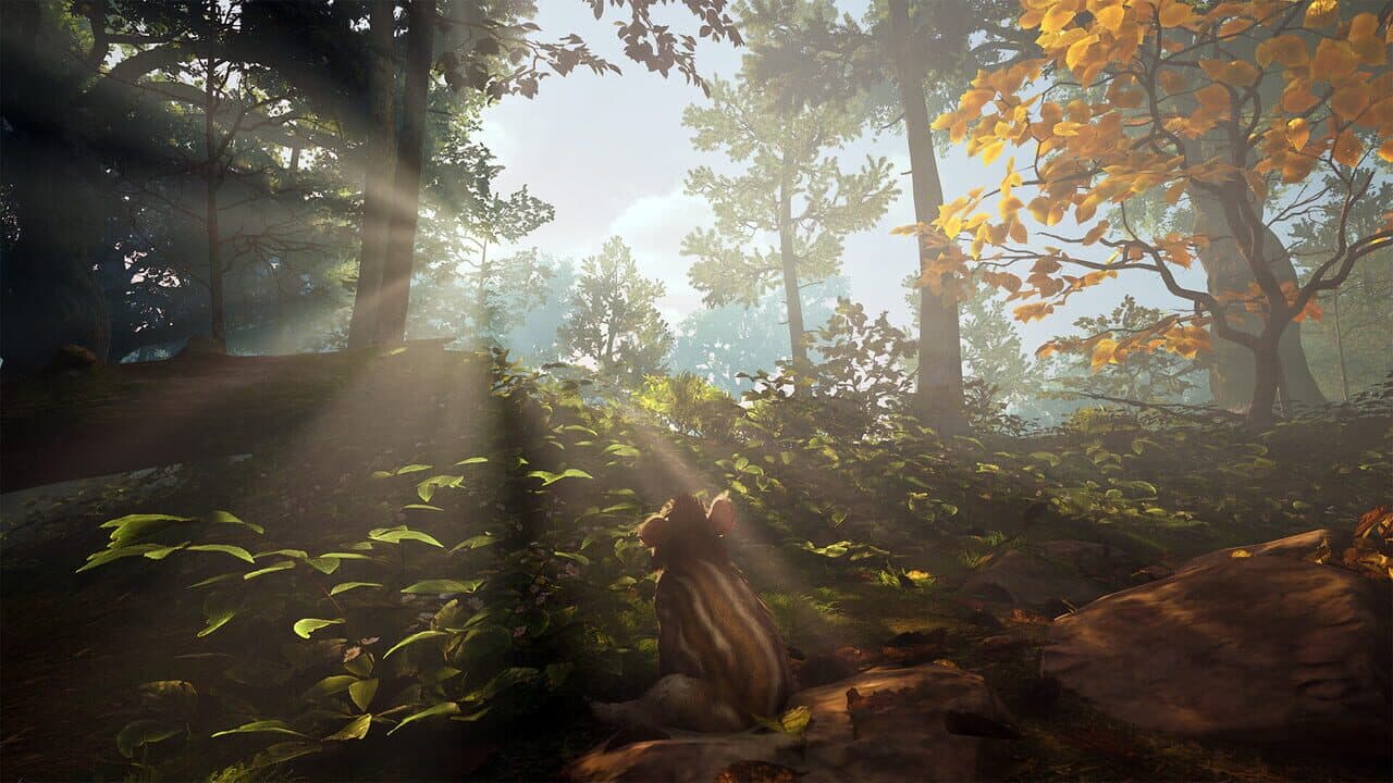 Adorable Adventures thumbnail 6