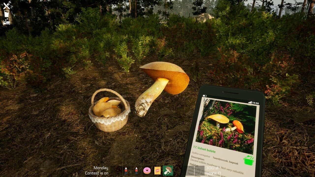 Mushroom Season thumbnail 11