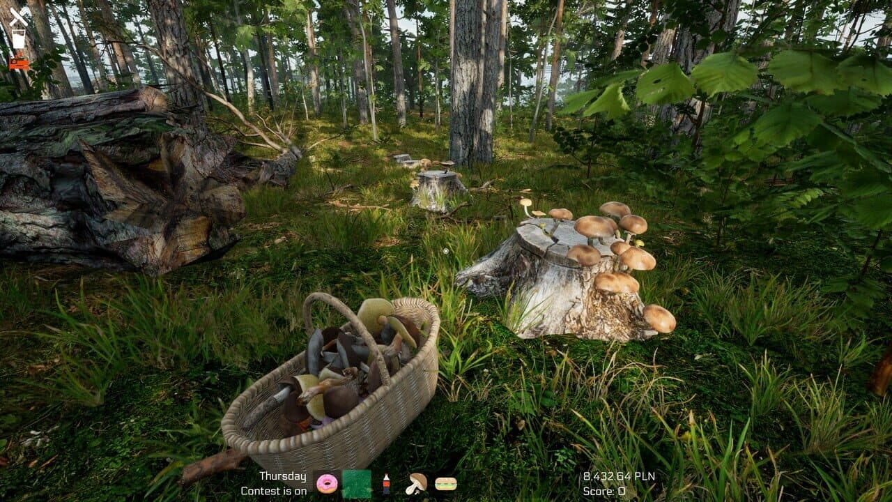 Mushroom Season thumbnail 8