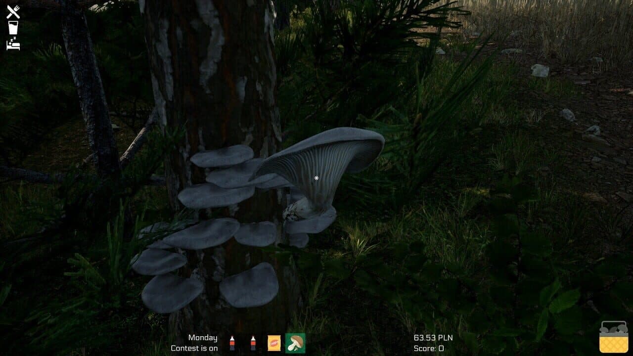 Mushroom Season thumbnail 40