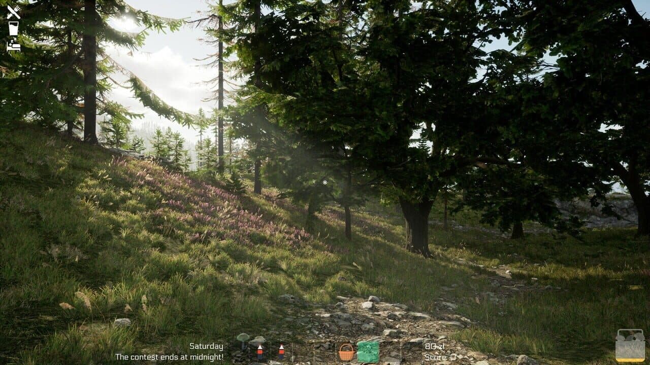 Mushroom Season thumbnail 44