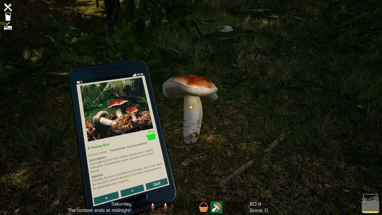 Mushroom Season thumbnail 16