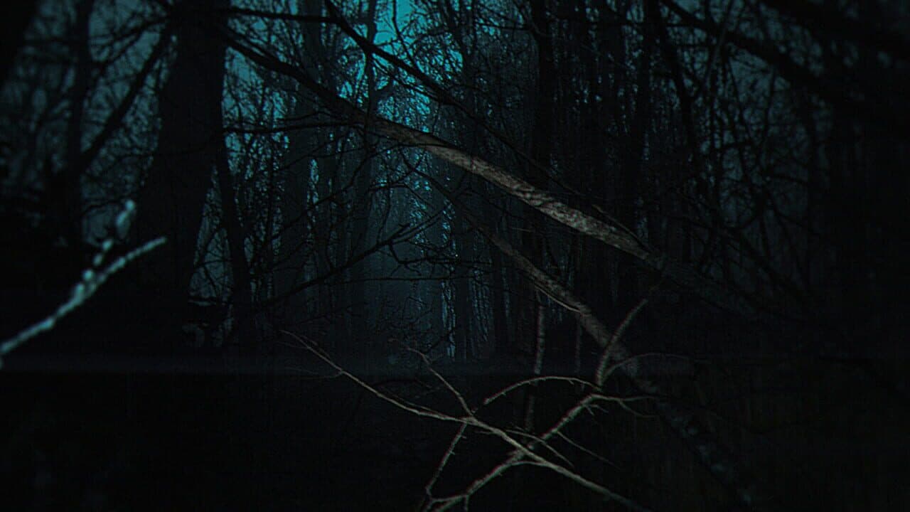 The Strange Lights thumbnail 5