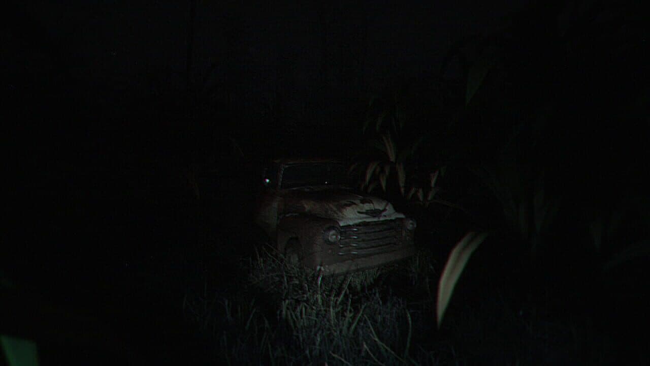 The Strange Lights thumbnail 8