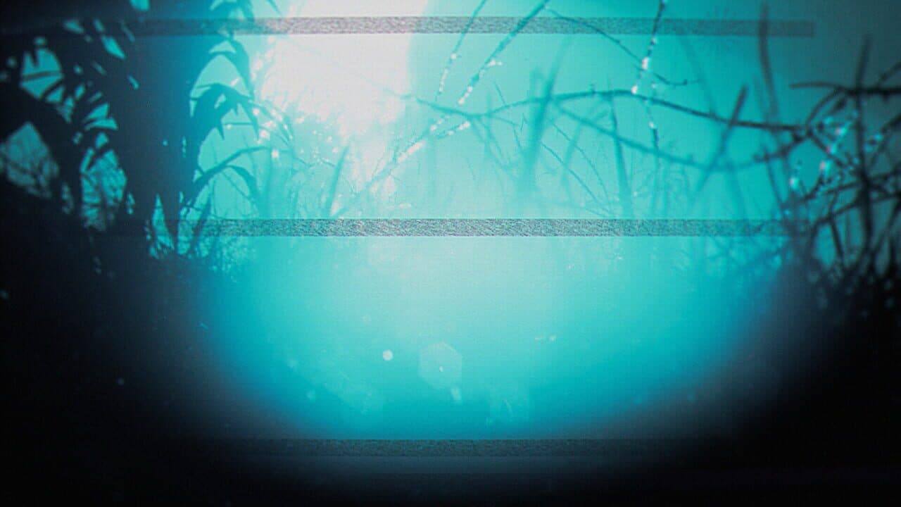 The Strange Lights thumbnail 9