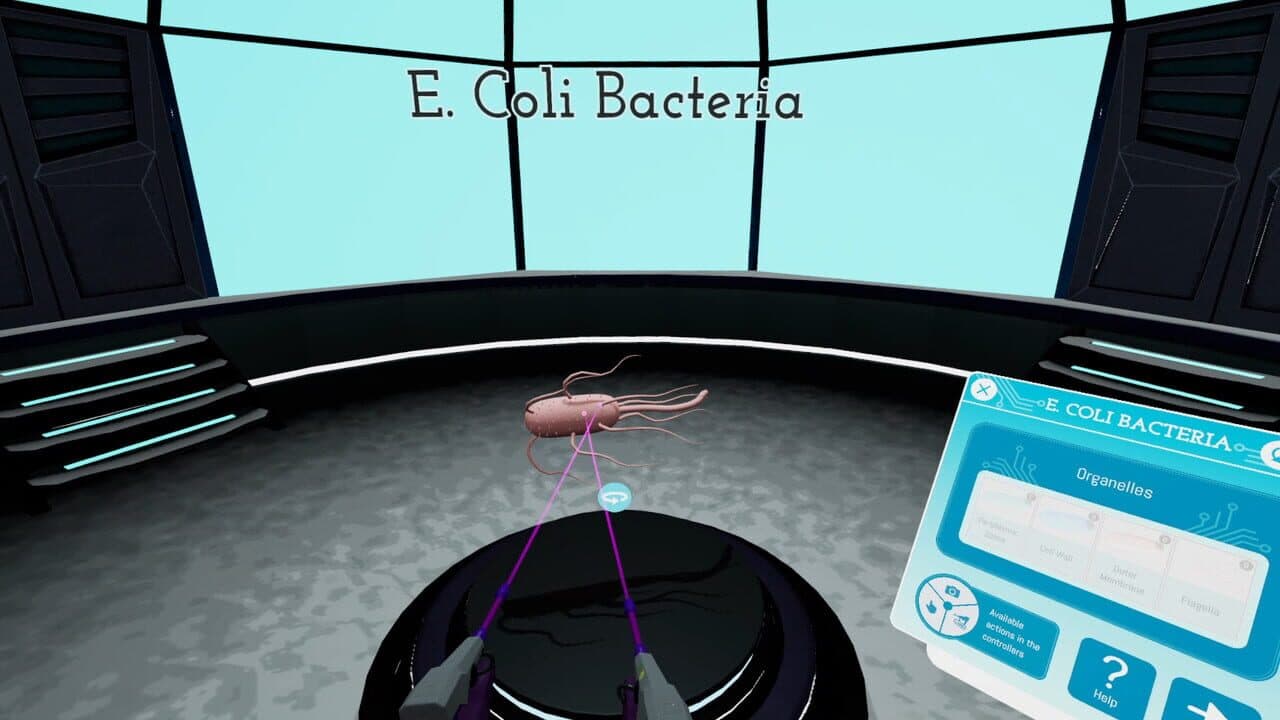 Looking Inside Cells thumbnail 4