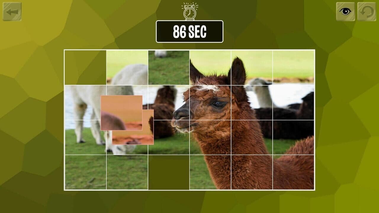 Easy Puzzle: Animals thumbnail 6