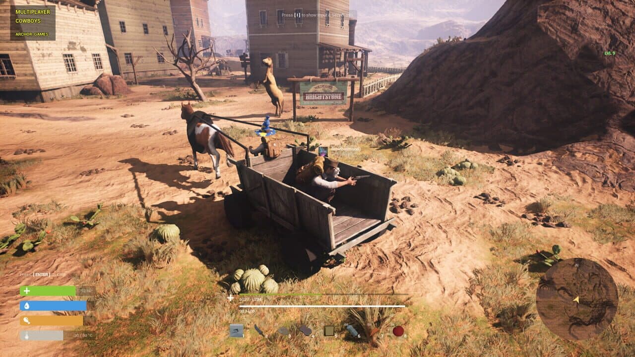 Multiplayer Cowboys thumbnail 5