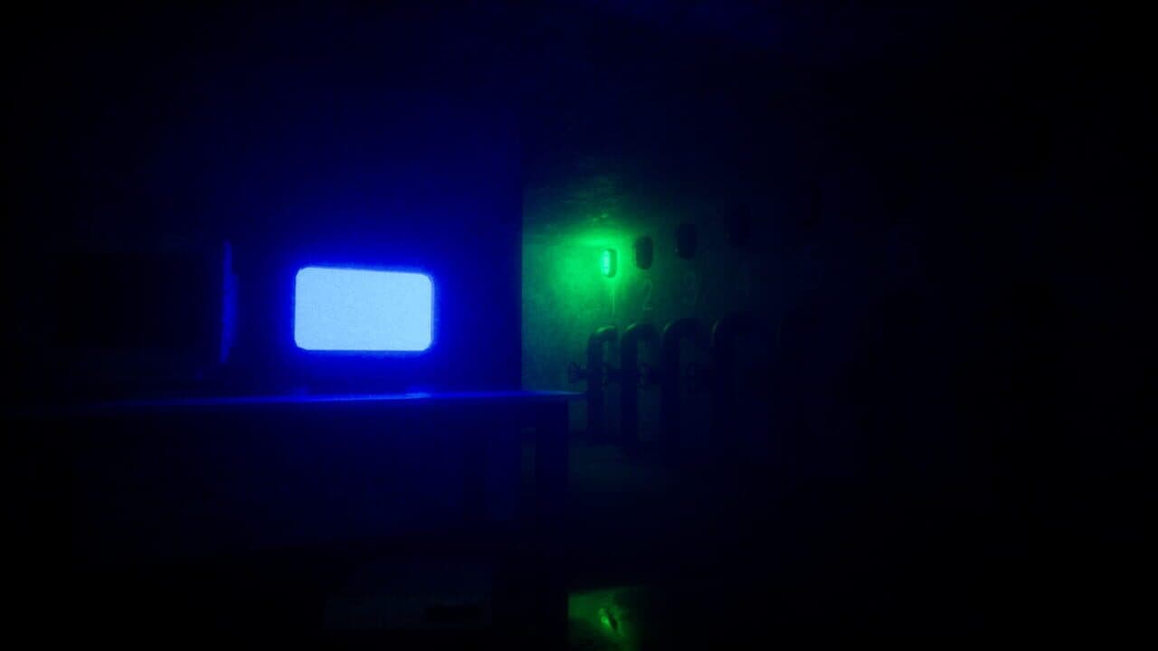 Vivariums thumbnail 6