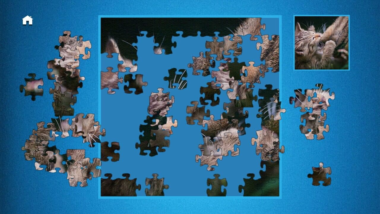 Puzzle: Ultimate thumbnail 5