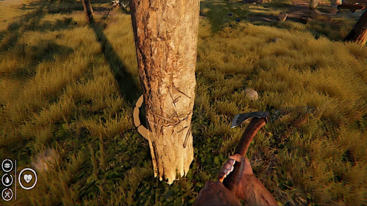 Survival thumbnail 4