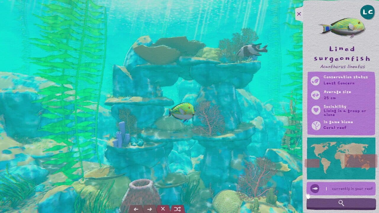 Turquoise thumbnail 3