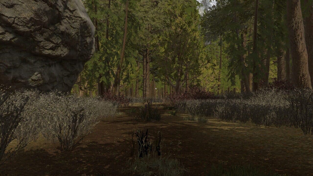 Whispers of Appalachia thumbnail 14