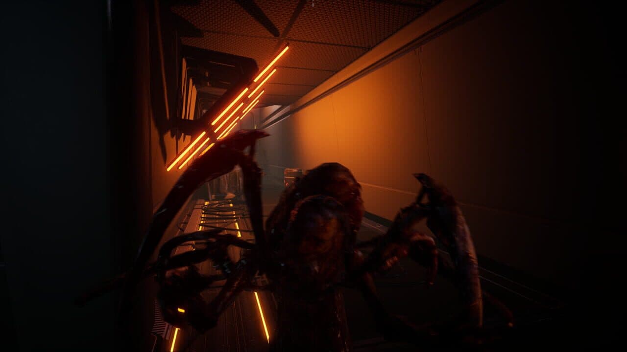 Scicry thumbnail 6