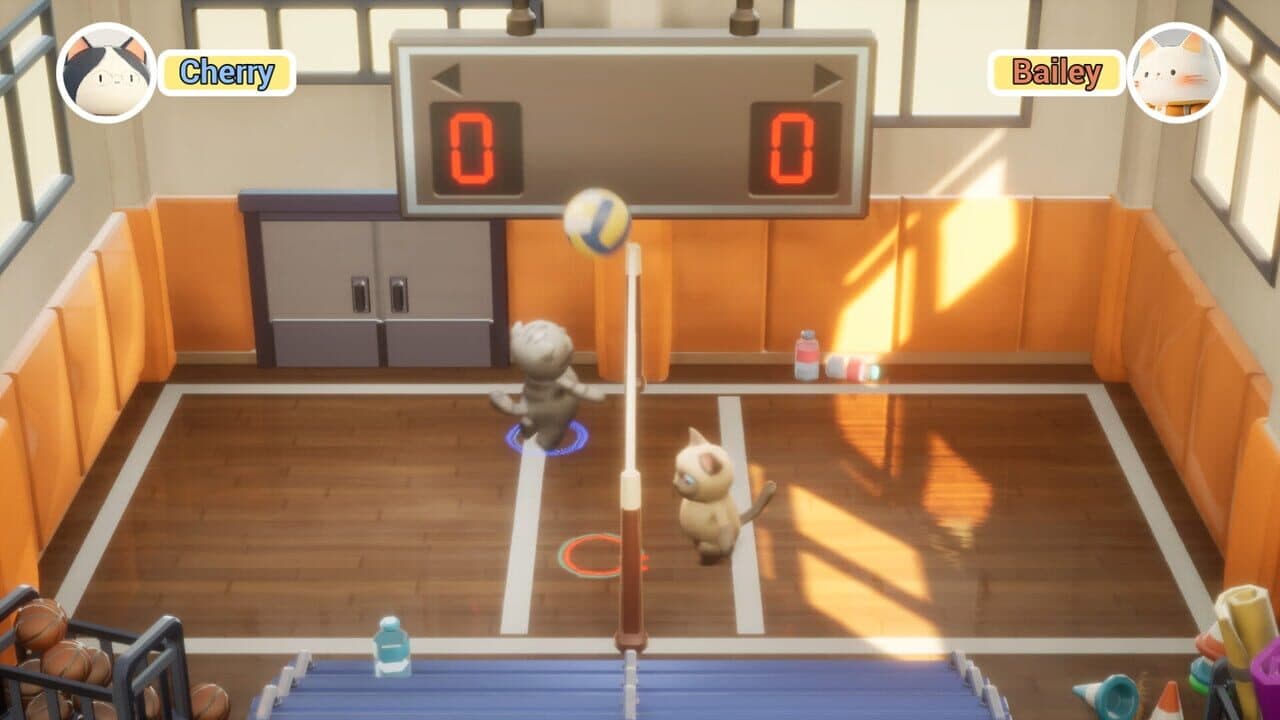 PawlleyBall thumbnail 3
